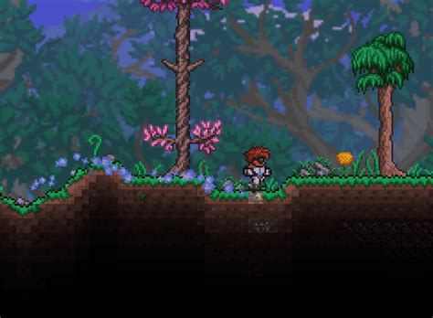 Terraspark Boots: One of The Best Boots Obtainable in Terraria ...