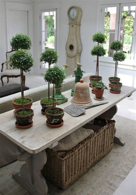 341 best images about BOXWOOD/ TOPIARY on Pinterest | Gardens, Hedges and Boxwood hedge