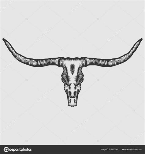 Steer Skull Vector at Vectorified.com | Collection of Steer Skull Vector free for personal use