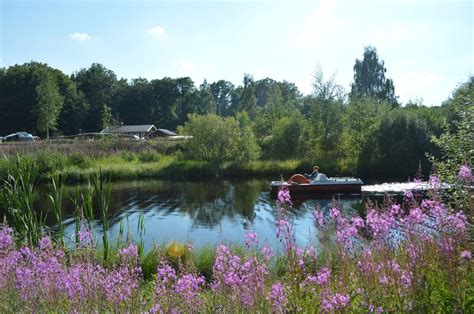 Campsite overview - TORNE CAMPING