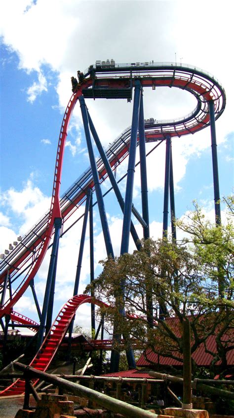 Coaster World • Sheikra, Busch Gardens Tampa, March 2012