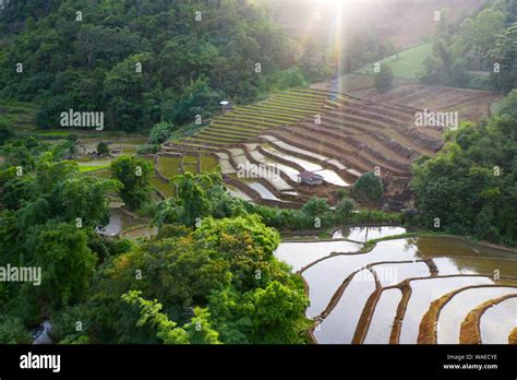 Aerial drone view of terraced rice fields in Thailand Stock Photo - Alamy