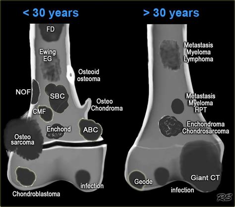 Pin on Radiology