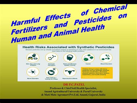 Harmful Effects Of Pesticides On Environment