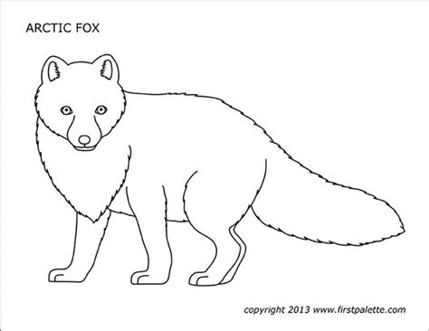 Free Printable Arctic Fox Coloring Pages