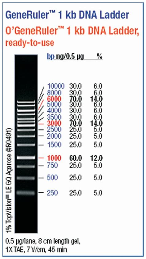 Thermo Scientific™ O'GeneRuler 1 kb DNA Ladder, Ready-to-Use- 250-10,000 bp 250 to 10000bp, 0 ...