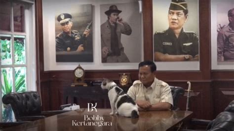 Terungkap! Bobby Kertanegara Kucing Kesayangan Prabowo Ternyata Berasal dari...