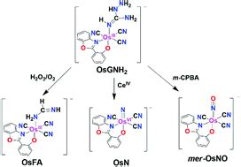 Synthesis and reactivity of an osmium(iii) aminoguanidine complex ...