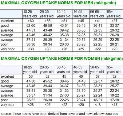 How Important Is VO2 Max? – Harold Gibbons