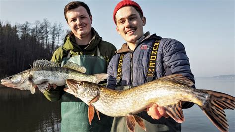 COMMERCIAL FISHING ALPINE LAKE (Day In The Life Of A Fisherman) - YouTube