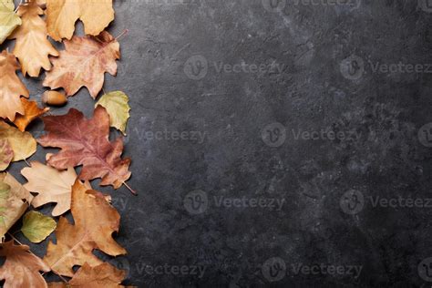 Autumn background winter 3512220 Stock Photo at Vecteezy