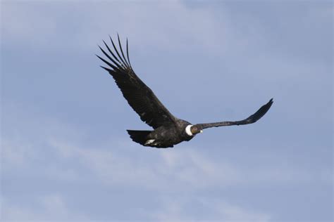 How to visit Torres del Paine in a Campervan - Condor Campers