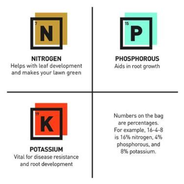 Understanding Fertilizer Numbers and NPK Values - Plant Instructions