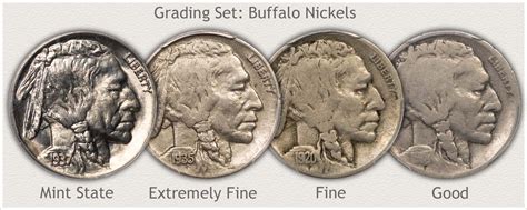 Buffalo Nickel Value | Discover Their Worth