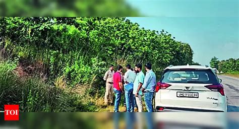 Wildlife: Bharat Mala Expressway To Give Wildlife Right Of Way | Ranchi News - Times of India