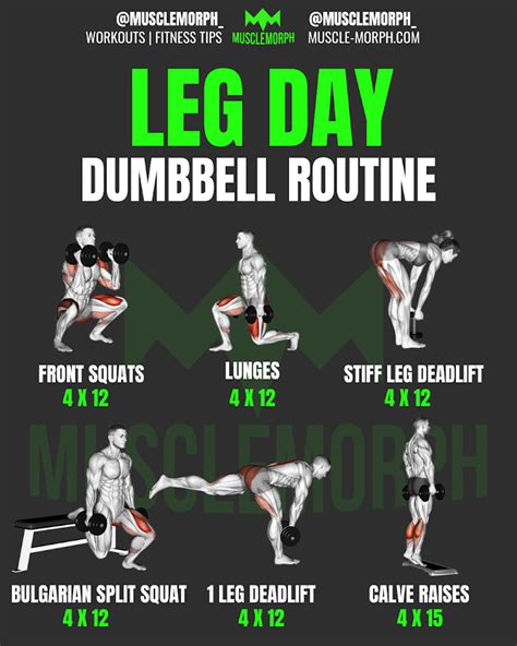 Dumbbell Leg Day Workout