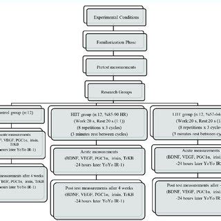 Experimental Design Diagram. | Download Scientific Diagram