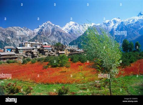 Kinnaur Kailash with Kalpa Village ; Himachal Pradesh ; India Stock Photo - Alamy