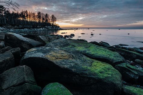 nature photography tours tallinn Archives - Capture Estonia Nature and Photography Tours