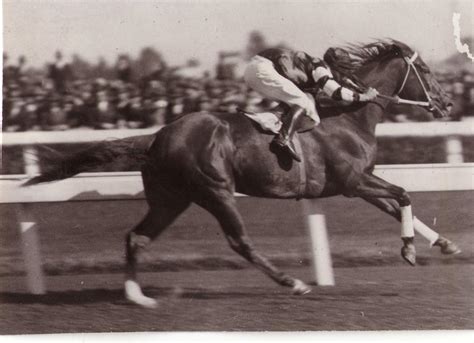 Phar Lap - Australian Racing Museum