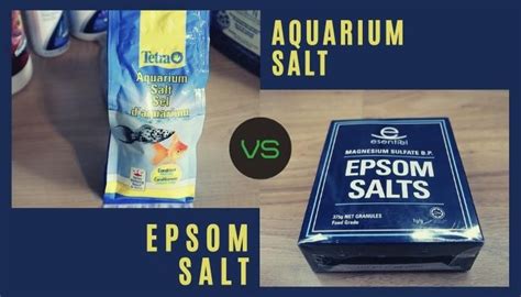 Aquarium Salt Vs Epsom Salt- Which One Is Better