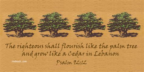 Cedar of Lebanon in the Bible - Psalm 92:12