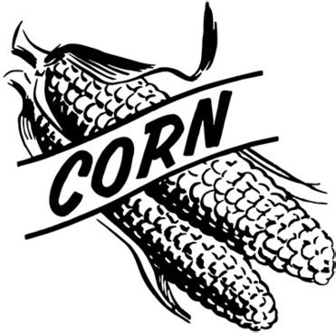 Corn Clipart Black And White | Free download on ClipArtMag