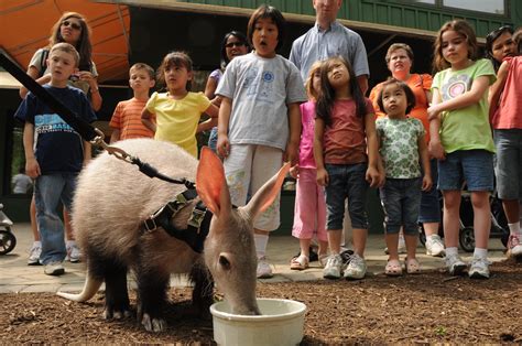 Cincinnati Zoo's Education Program Recognized with National Award - Cincinnati Zoo & Botanical ...