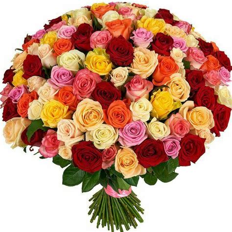 Pin by Batoul Mohamed on rose &flowre | Flower delivery, Flower box gift, Bunch of flowers