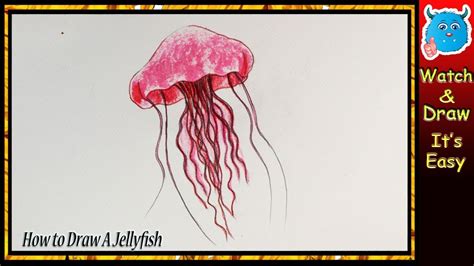 Jellyfish Drawing Color ~ Jellyfish Coloring Pages Kids Drawing Color Printable Jelly Fish ...