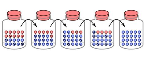 Microevolution: Definition, Examples, Quiz | Biology Dictionary