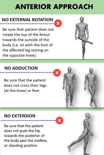 Hip Replacement Precautions and Weight Bearing Precautions Flashcards ...