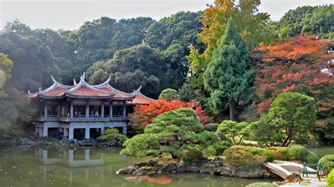 Shinjuku Gyoen National Garden | Things to do in Shinjuku-Sanchome, Tokyo