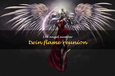 The Reunion Of Twin Flames: Uncovering The Meaning Behind The Angel Number 338 | ShunSpirit