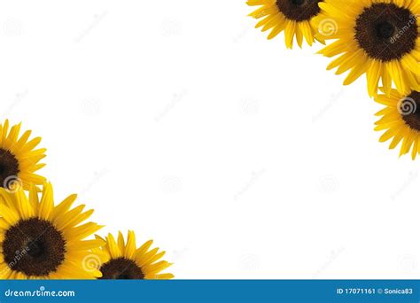 Sunflower Corner Border Clipart | Amazing Wallpapers