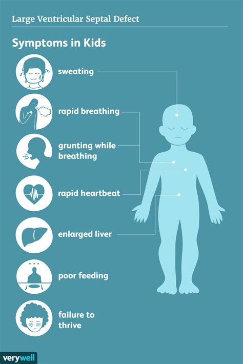 What Are Ventricular Septal Defects?