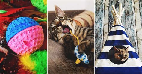 40 DIY Cat Toys Every Cat-Lover (and Their Cats) Will Adore