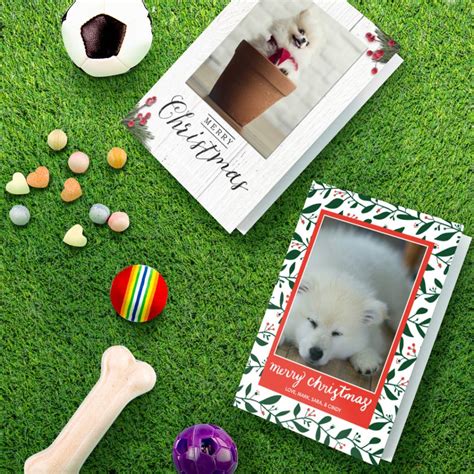 Creative Tips for Pet-Themed Christmas Cards | Snapfish IE