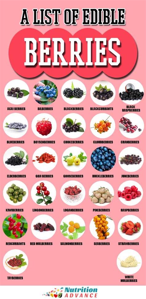 27 Different Types of Berries To Discover | Types of berries, Nutrition ...