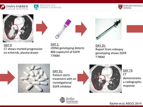 The Latest in Targeted Therapy for Lung Cancer