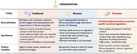 Precision fermentation: A Guide for Endless Opportunities to Reshape ...