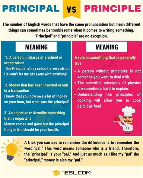 Principal vs. Principle: Understanding the Difference • 7ESL