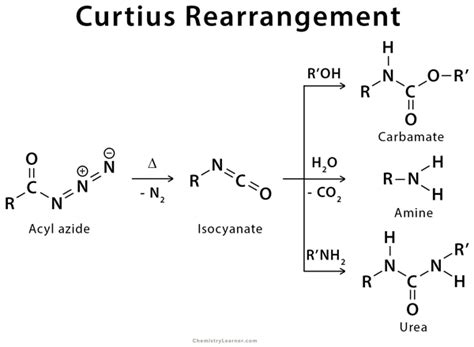 Curtius Rearrangement: Example, Mechanism and Application