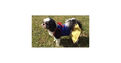 Disney Dog Costumes | POPSUGAR Pets