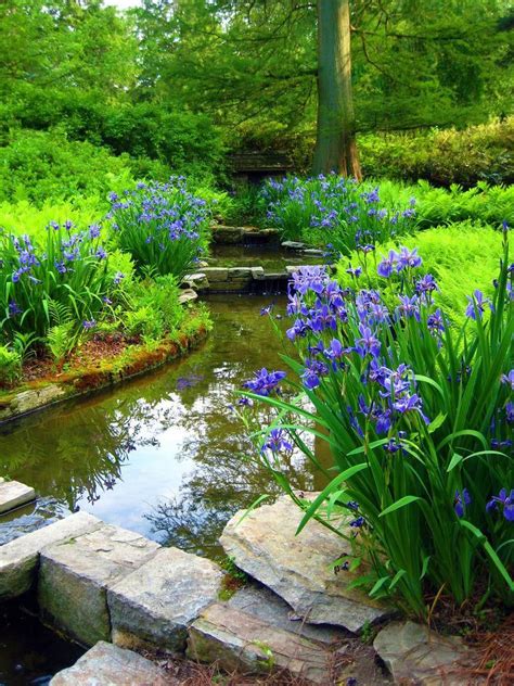 Garden Stream by OnceUponaMoment | Garden stream, Water features in the garden, Shade garden