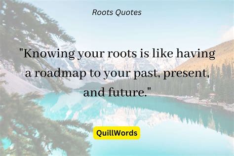 100 Best Don't Forget Your Roots Quotes - QuillWords