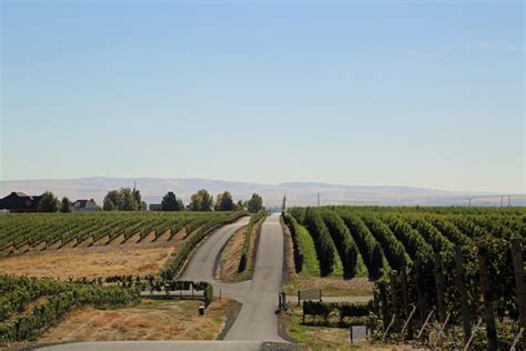 Visiting Pepper Bridge Winery Walla Walla