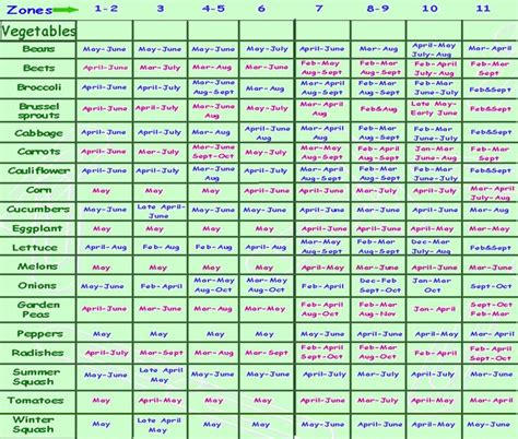 Zone 6 Vegetable Planting Calendar - Printable And Enjoyable Learning