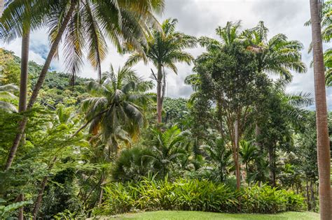 Colourful Gardens in Barbados You Should Not Miss!