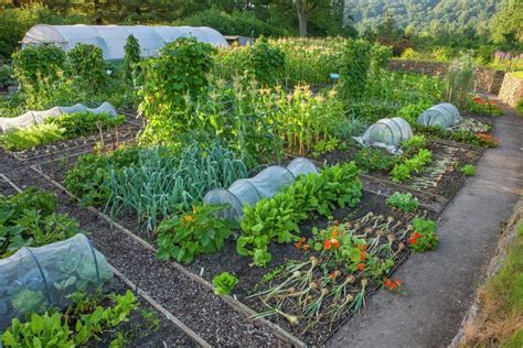 allotment | Vegetable garden, Outdoor decor, Garden